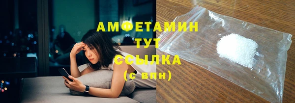 ПСИЛОЦИБИНОВЫЕ ГРИБЫ Гусев