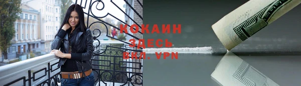 ПСИЛОЦИБИНОВЫЕ ГРИБЫ Гусев