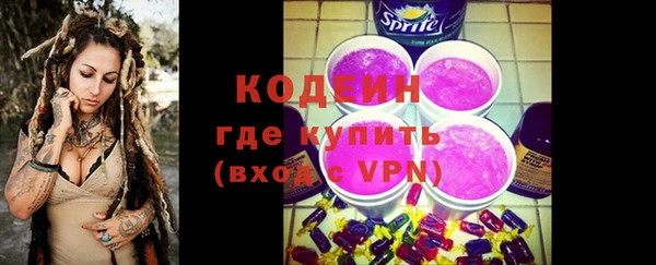 ПСИЛОЦИБИНОВЫЕ ГРИБЫ Гусев