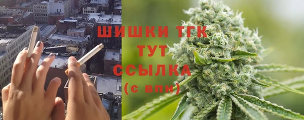 ПСИЛОЦИБИНОВЫЕ ГРИБЫ Гусев
